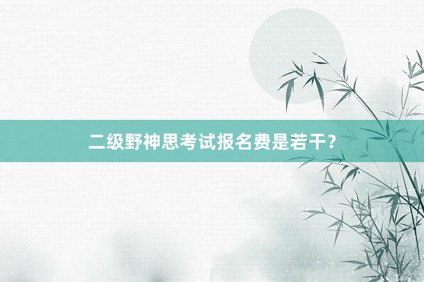 二级野神思考试报名费是若干？